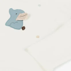 Baby Boys Blue Cotton Tracksuit Set