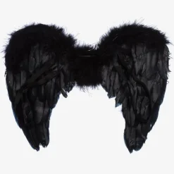 Black Feather Wings
