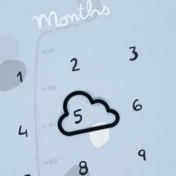 Blue Cotton Baby Milestone Swaddles (2 Pack)