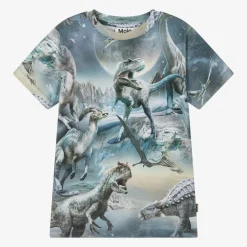 Boys Blue Cotton Dinosaur Print T-Shirt