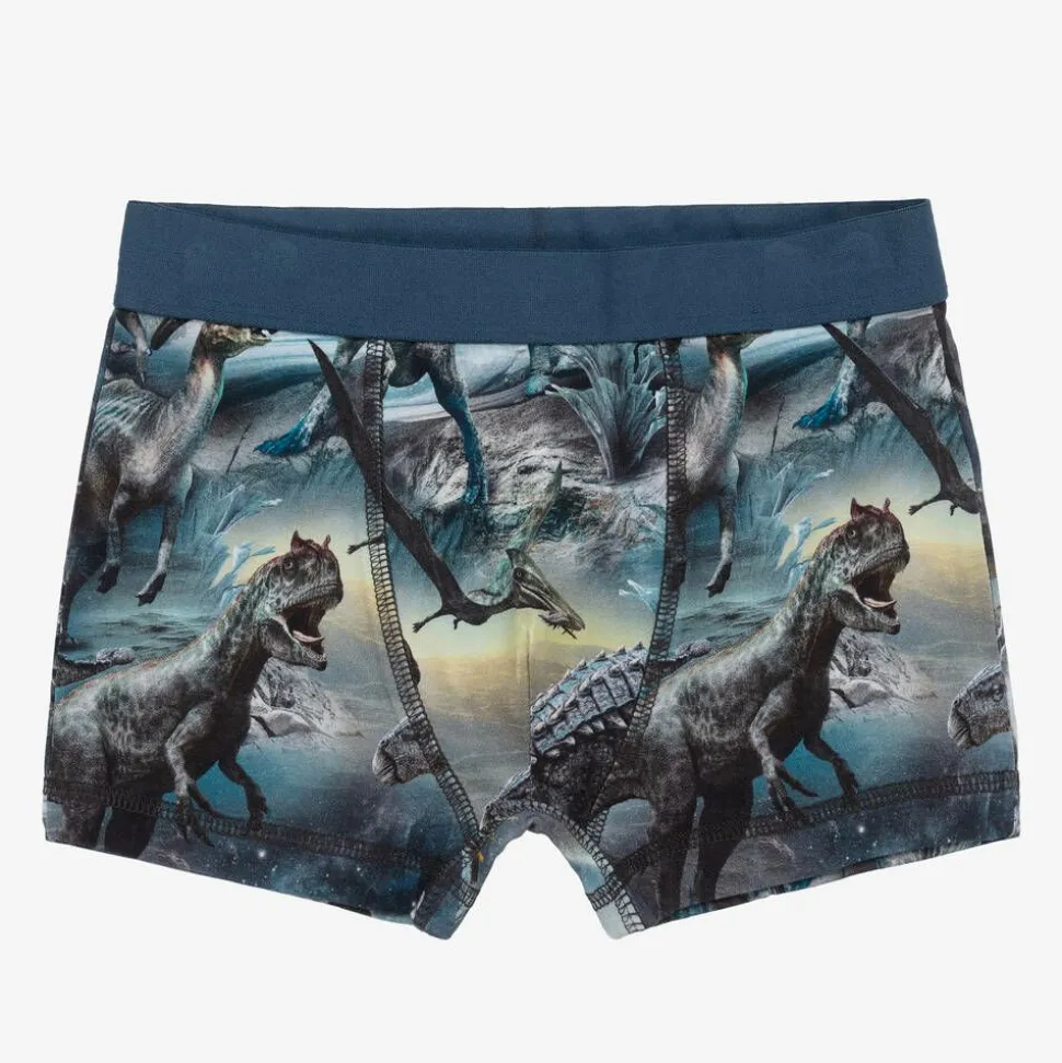 Boys Blue Cotton Dinosaur Boxers (2 Pack)