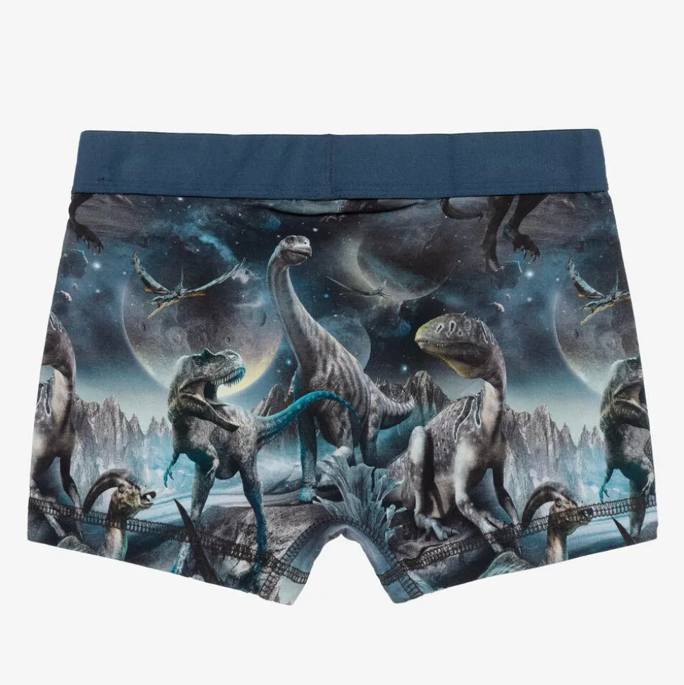 Boys Blue Cotton Dinosaur Boxers (2 Pack)