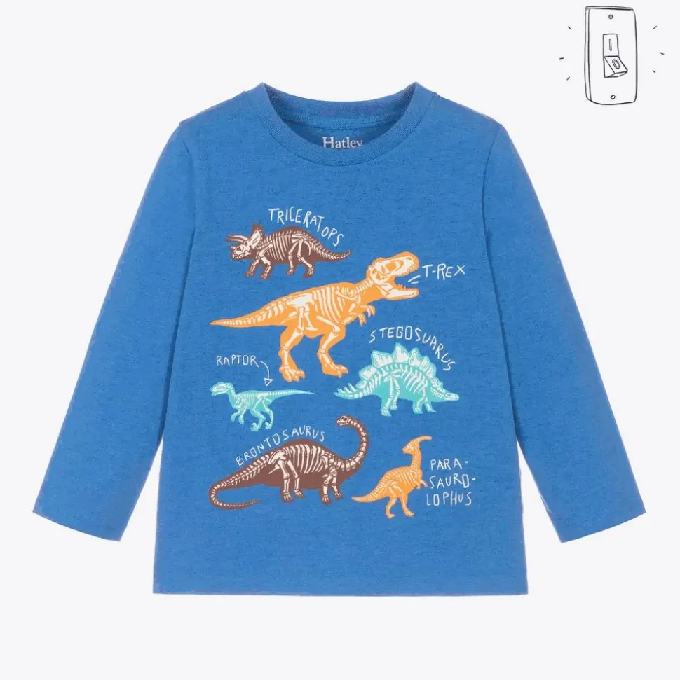 Boys Blue Cotton Dinosaur Top