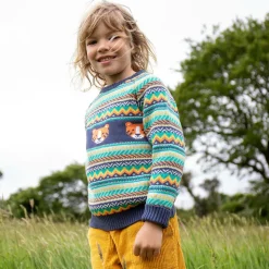 Boys Blue Cotton Tiger Fair Isle Sweater