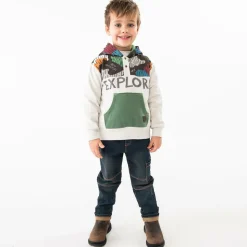 Boys Grey Cotton Explore Hoodie