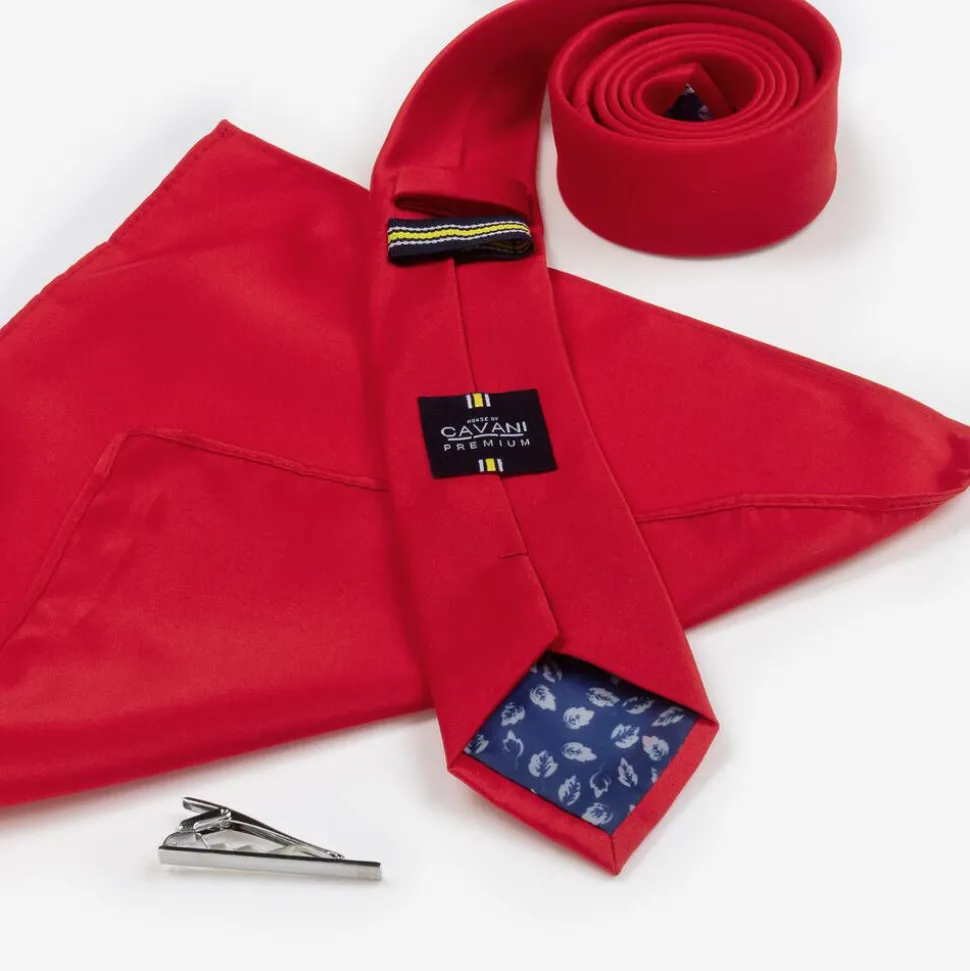 Boys Red Satin Tie Set
