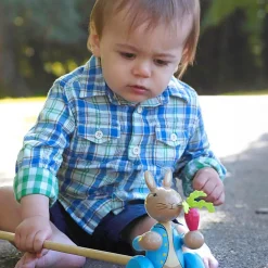 Peter Rabbit Push Along Toy (15cm)